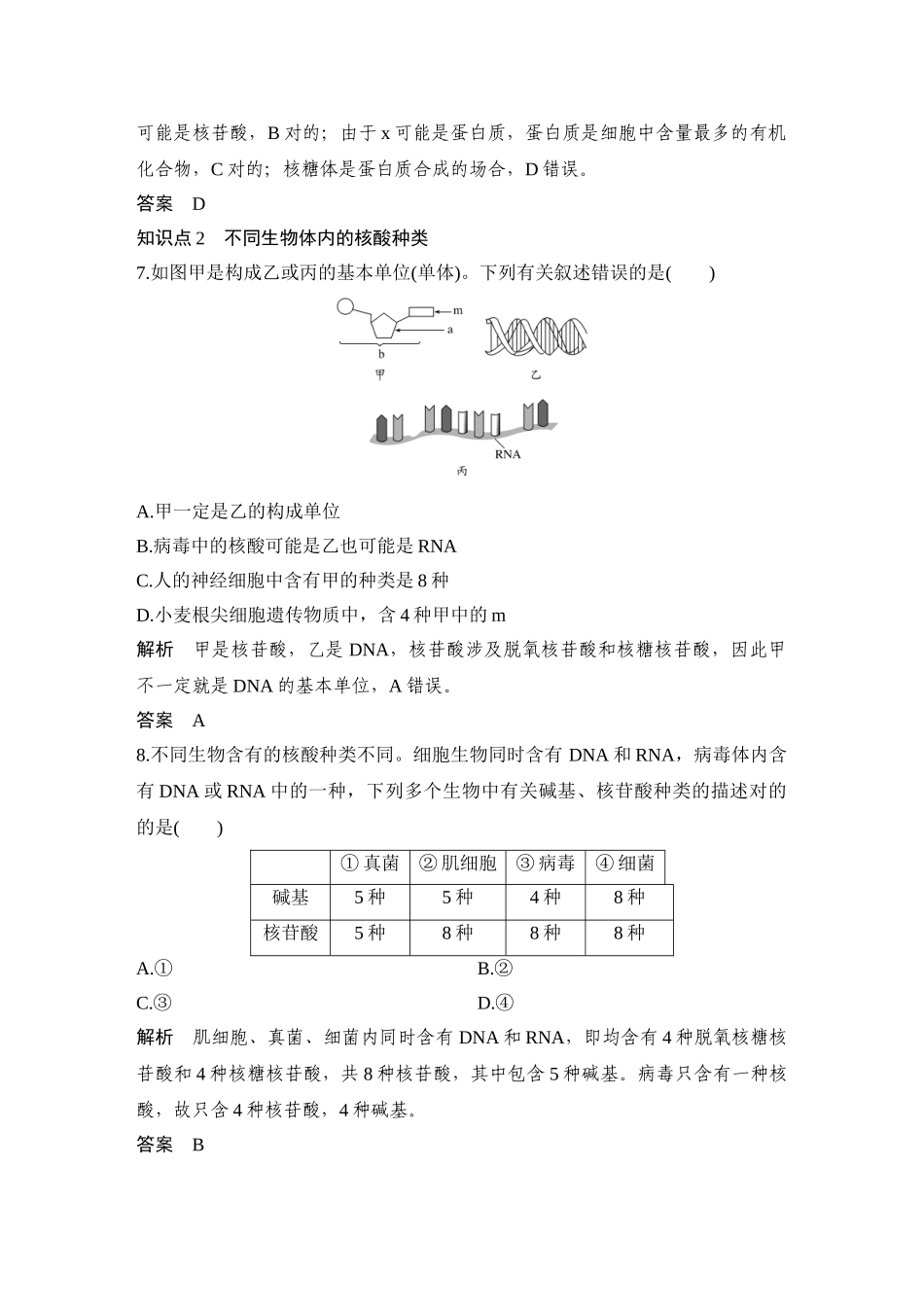 2025年人教版必修一核酸是遗传信息的携带者作业_第3页