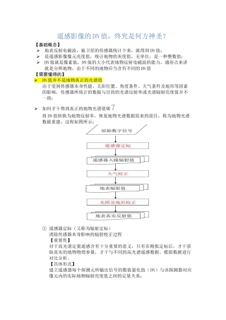 2025年什么是遥感影像的DN值