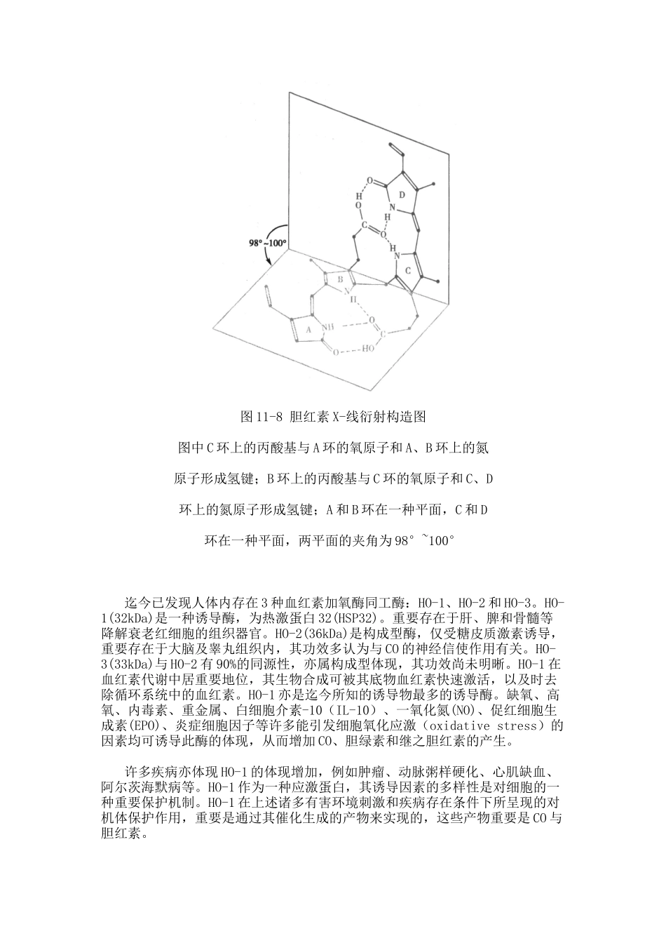 2025年生物化学第四节胆色素的代谢与黄疸_第3页