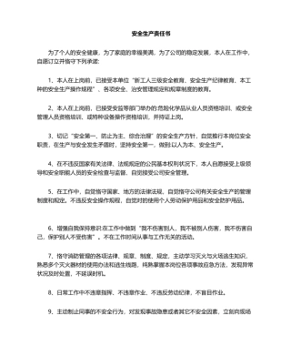 2025年生产安全责任书