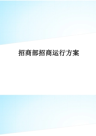 2025年招商部招商运营方案