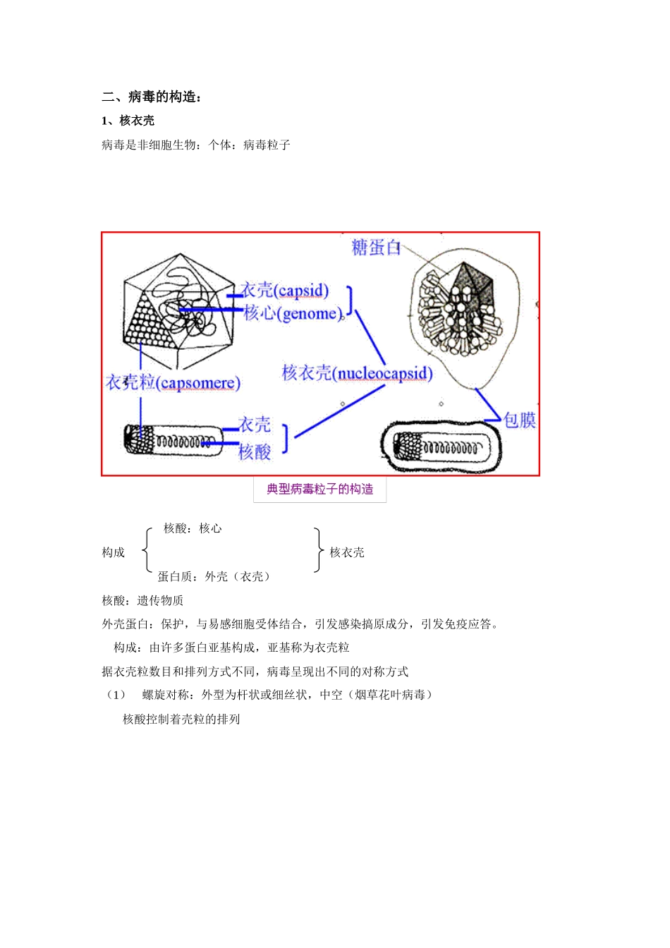 2025年掌握病毒的组成结构及病毒的繁殖方式_第2页