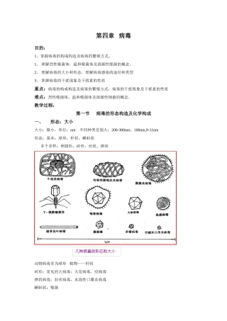 2025年掌握病毒的组成结构及病毒的繁殖方式