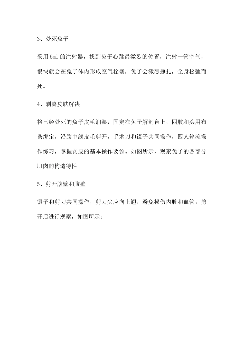 2025年兔子解剖实验报告_第3页