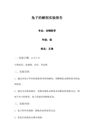2025年兔子解剖实验报告