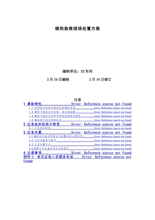 2025年烧伤急救现场处置方案