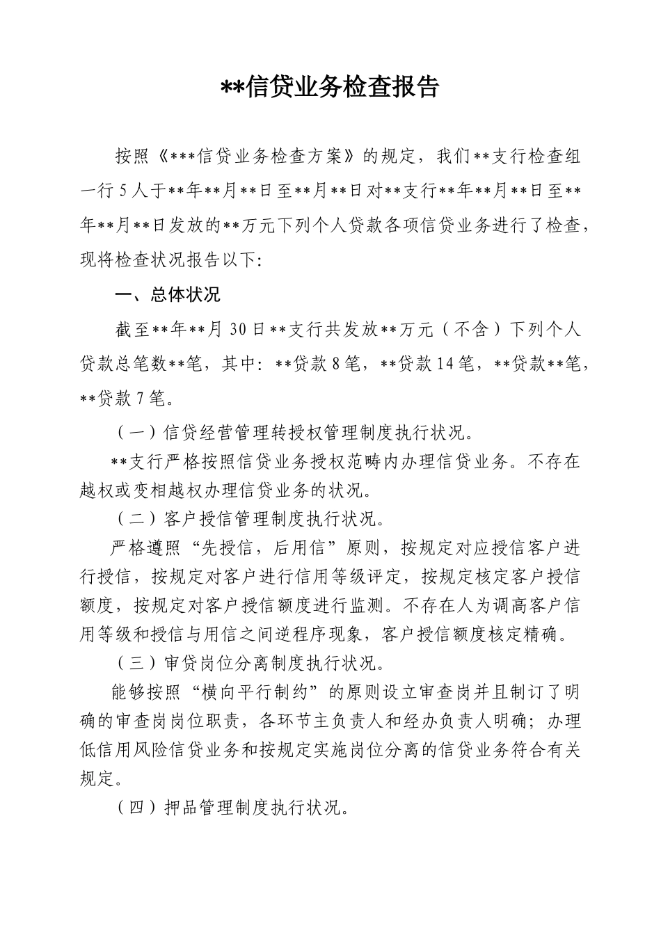 2025年信贷业务检查报告_第1页