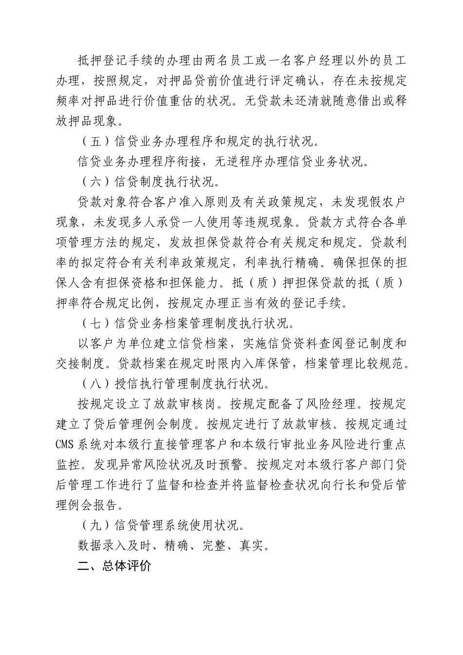 2025年信贷业务检查报告_第2页