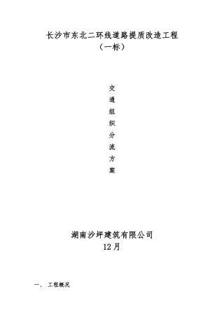 2025年交通分流方案