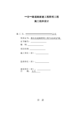 2025年市政路灯项目施工计划组织