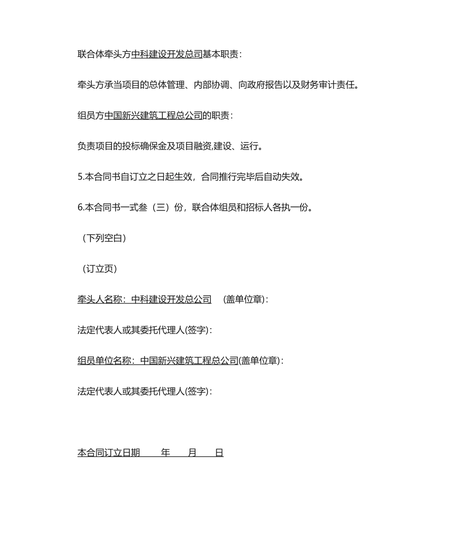 2025年联合体协议书_第2页