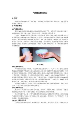 2025年气凝胶调研报告