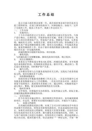 2025年软件公司年终总结