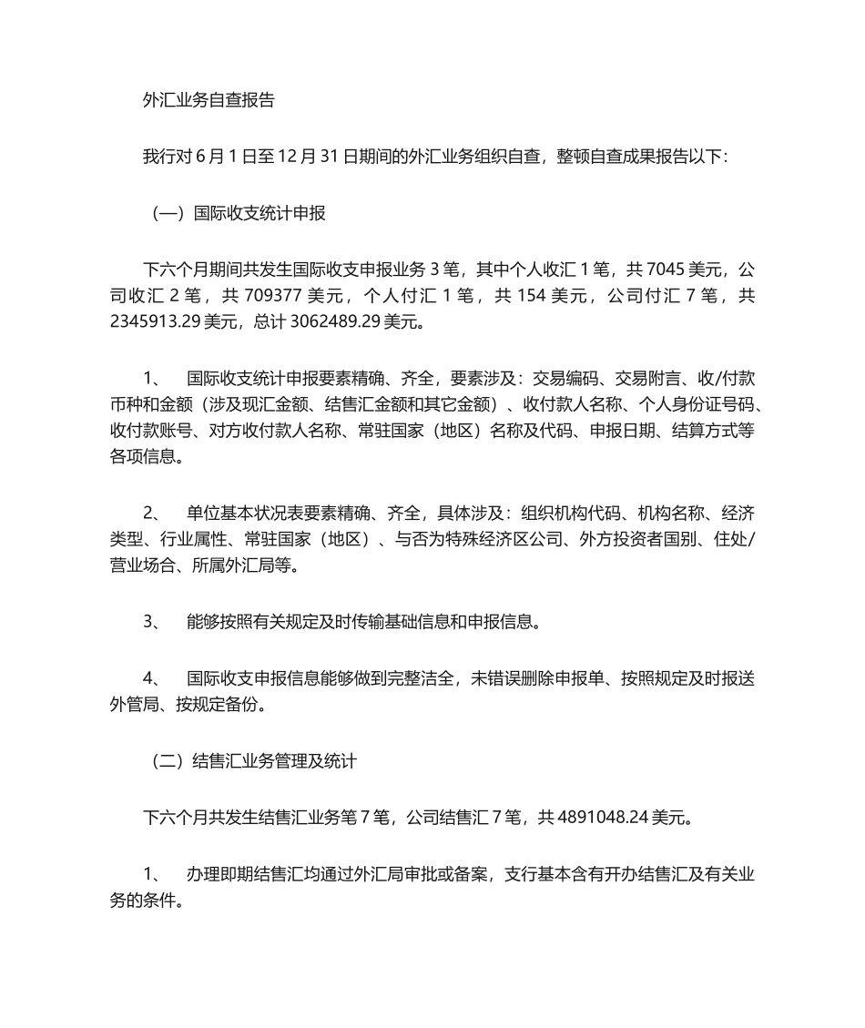 2025年外汇自查报告_第1页