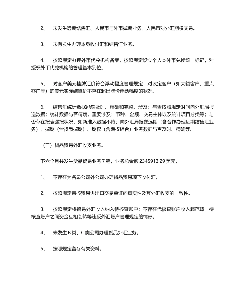 2025年外汇自查报告_第2页