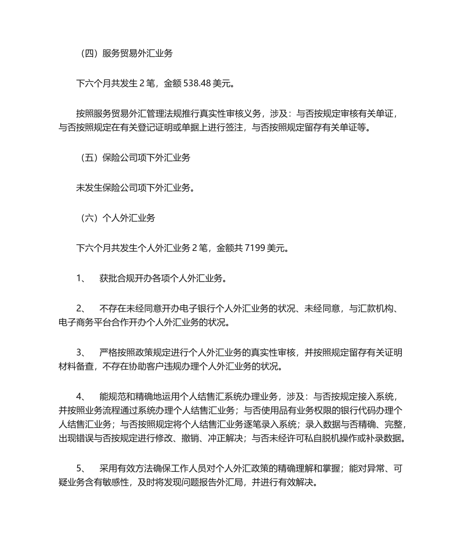 2025年外汇自查报告_第3页