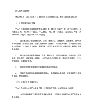 2025年外汇自查报告