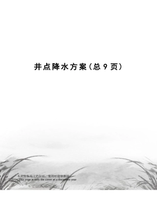 2025年井点降水方案