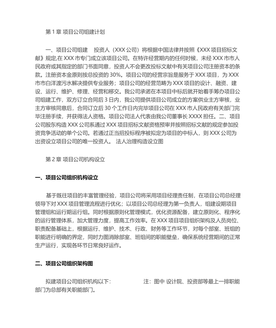 2025年项目管理公司组建计划_第1页