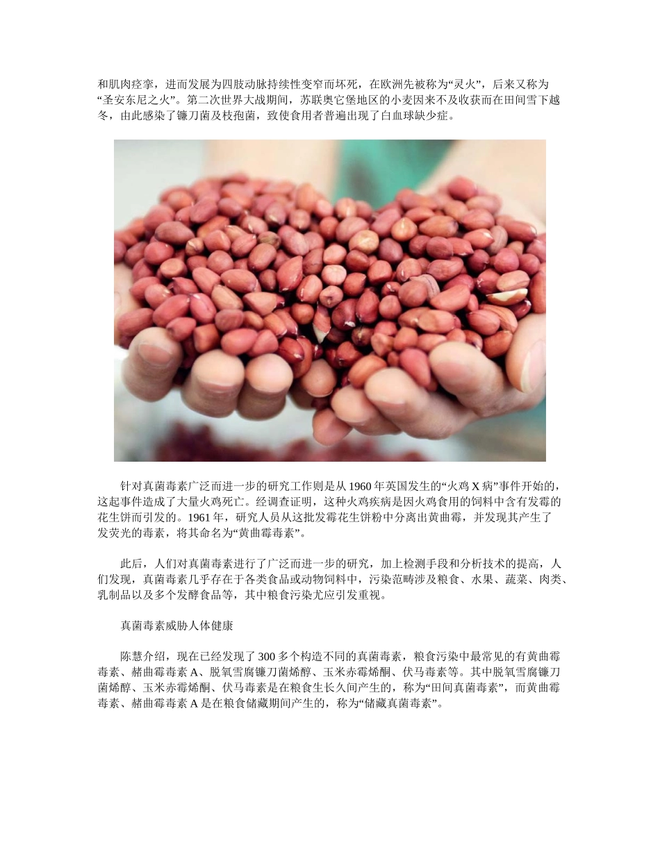 2025年粮食中的真菌毒素_第2页