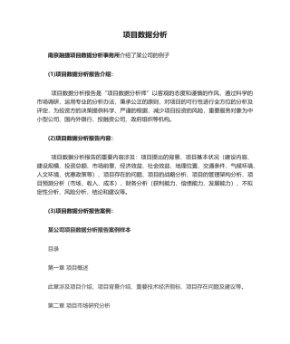 2025年项目数据分析报告实例