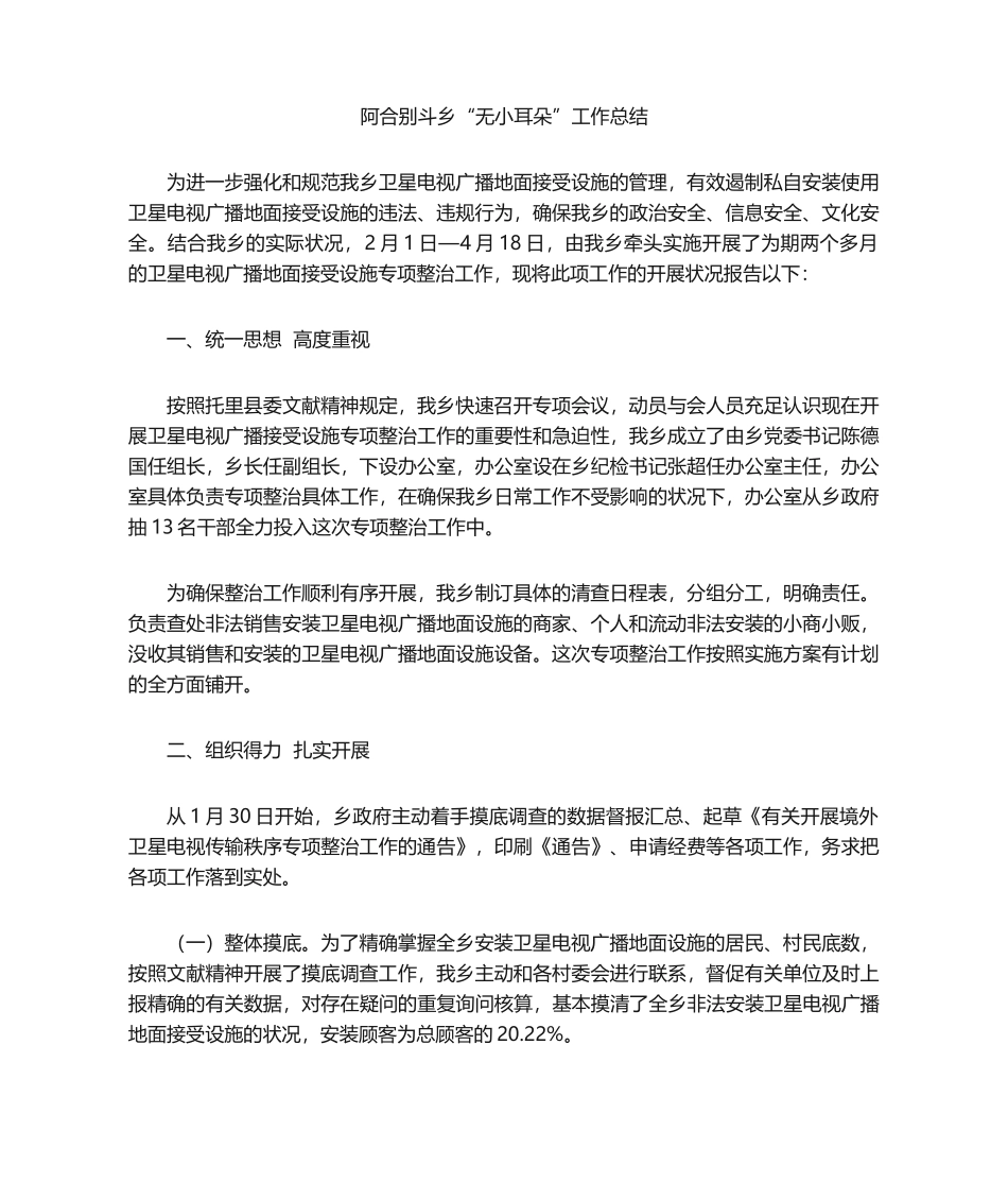 2025年无小耳 工作总结_第1页