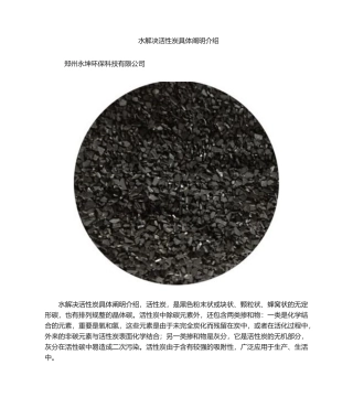 2025年水处理活性炭详细说明介绍
