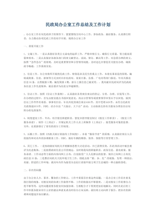 2025年民政局办公室工作总结及工作计划