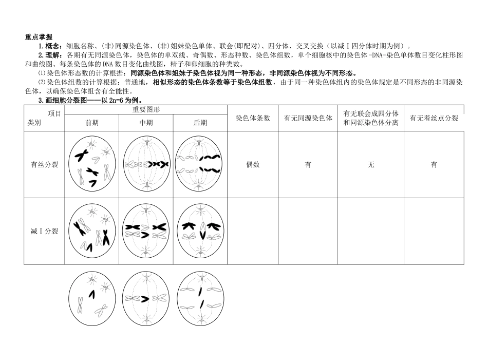 2025年减数分裂与有丝分裂图形及曲线绘制答案_第2页
