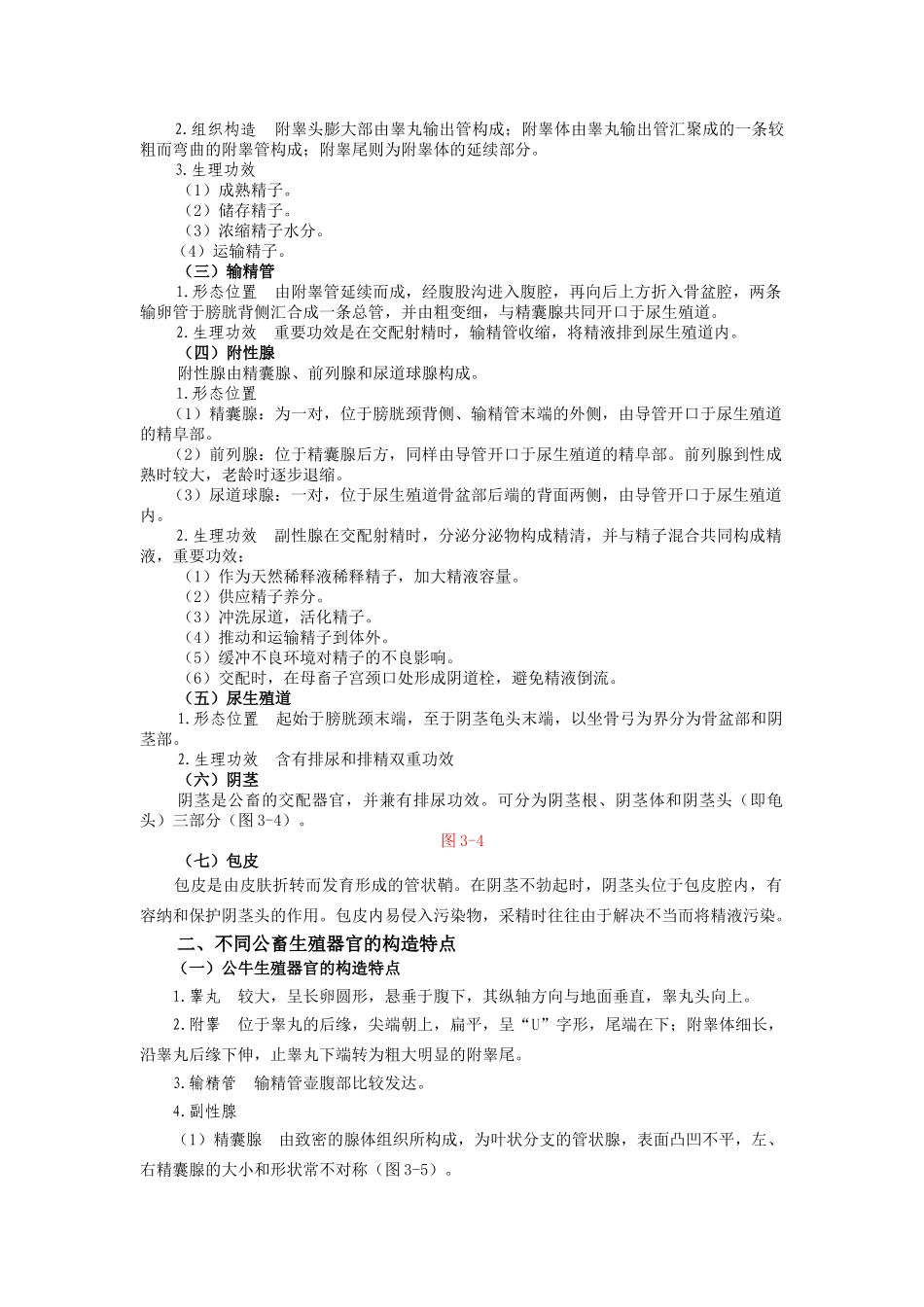 2025年家畜的生殖器官电子教案_第2页