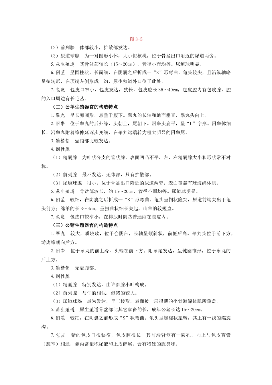 2025年家畜的生殖器官电子教案_第3页