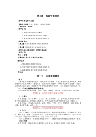 2025年家畜的生殖器官电子教案