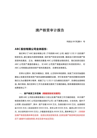 2025年清产核资审核报告