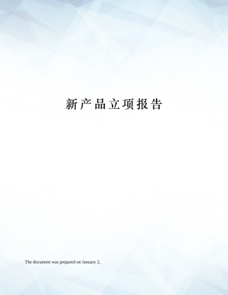 2025年新产品立项报告