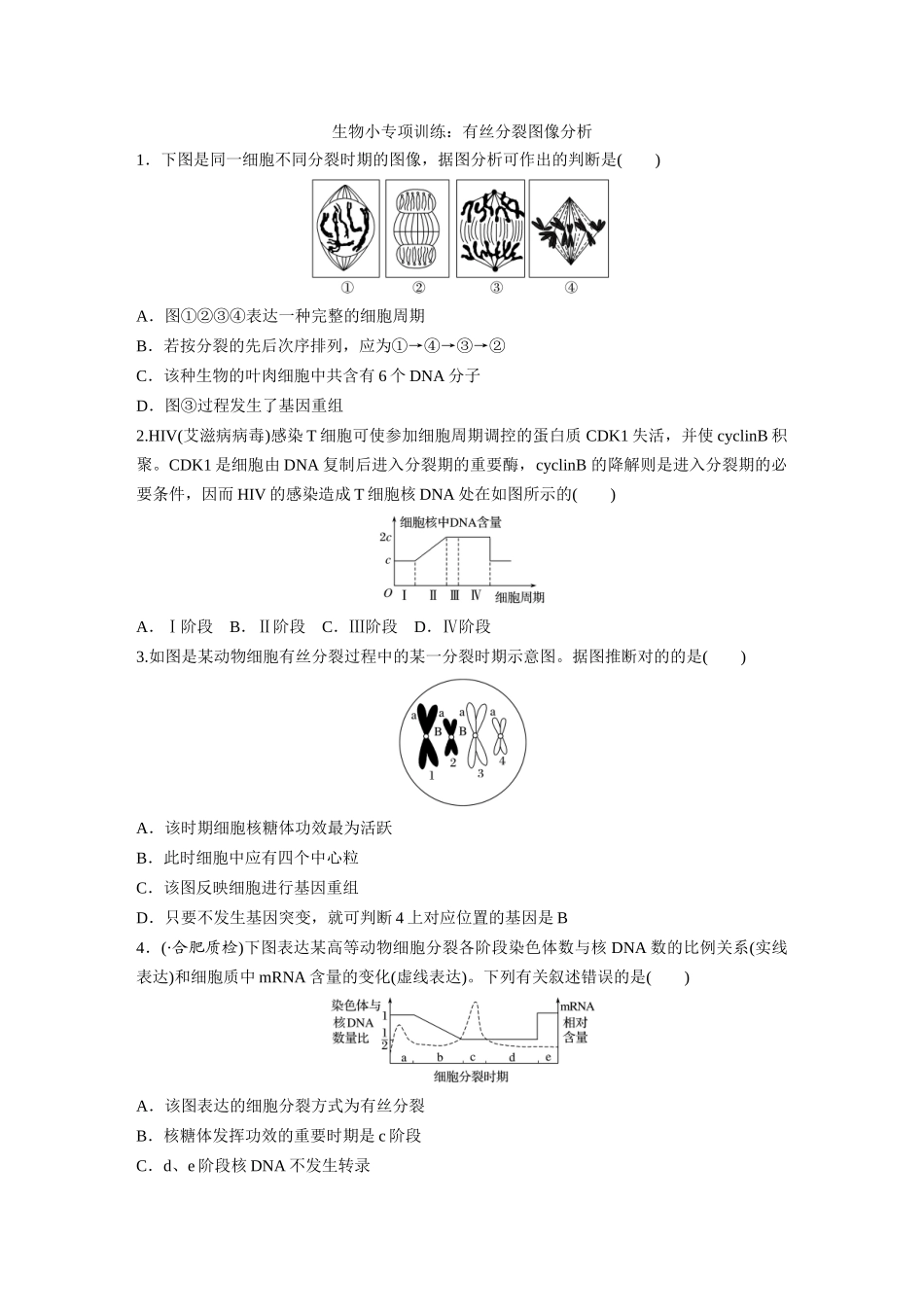 2025年生物小专题训练有丝分裂图像分析_第1页