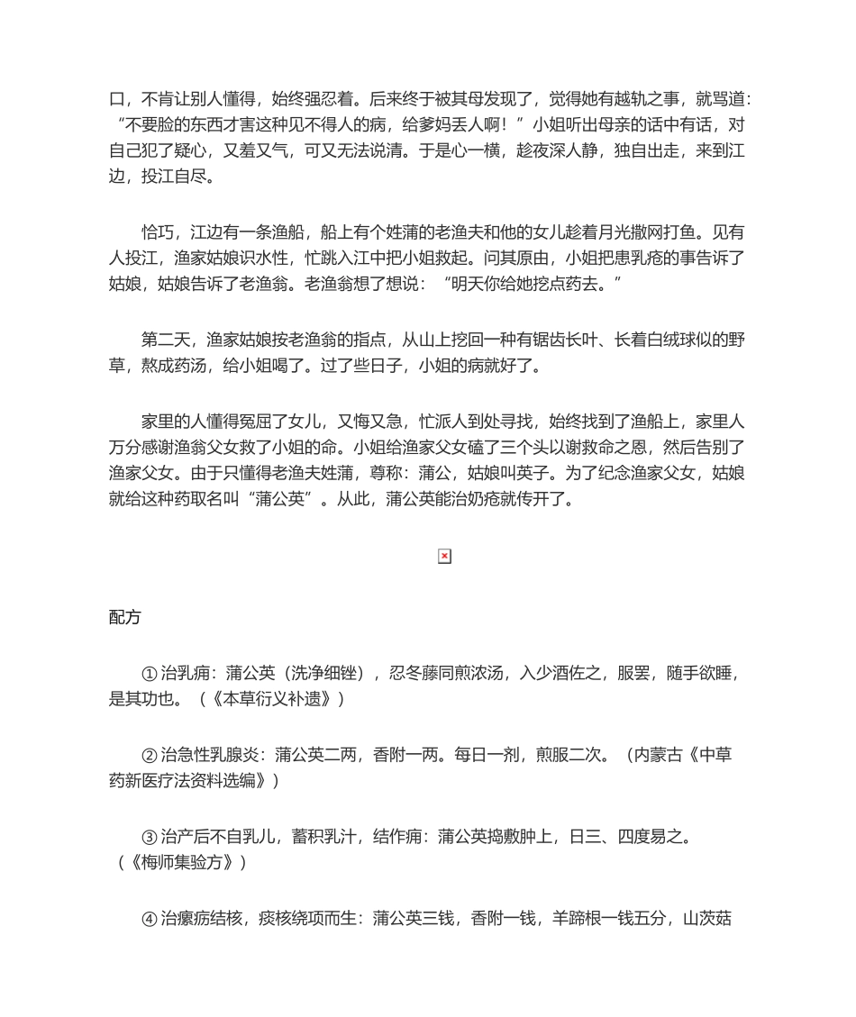 2025年中草药蒲公英的故事_第2页