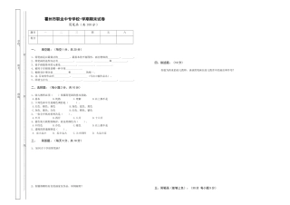 2025年幼师班简笔画期末试卷