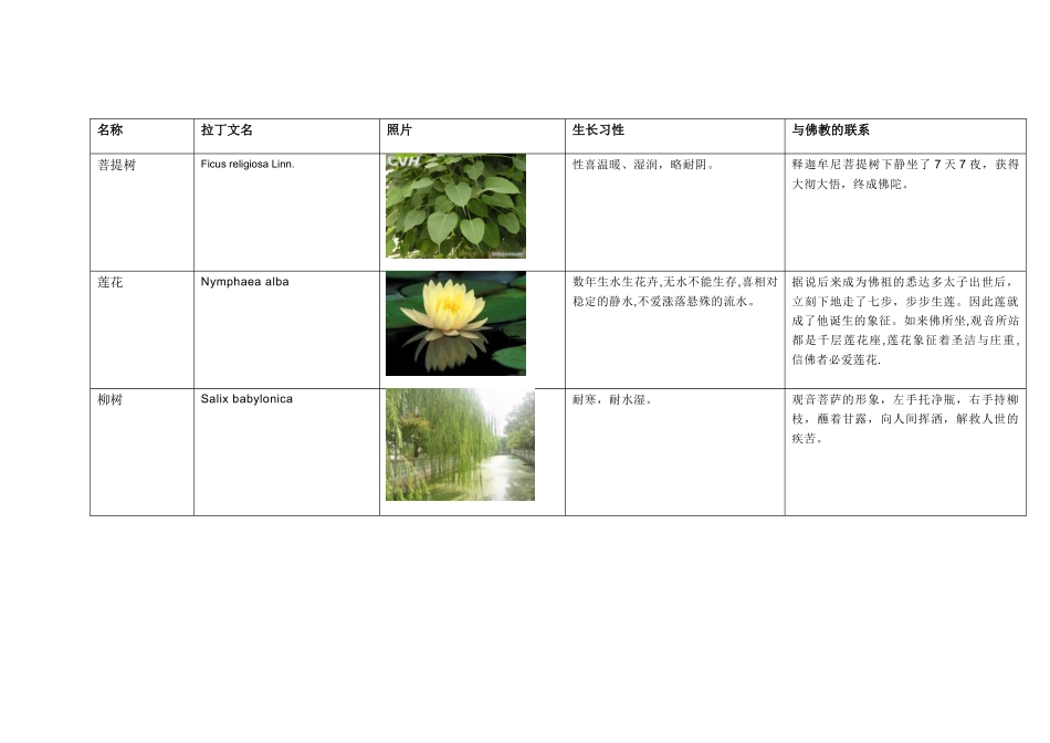 2025年与佛教有关植物一览_第1页