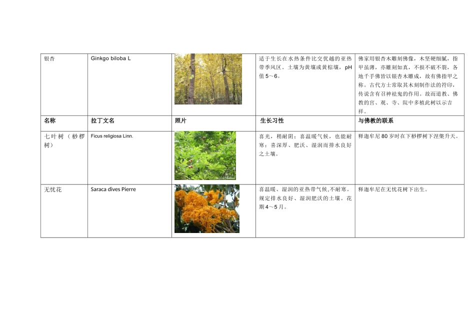 2025年与佛教有关植物一览_第2页