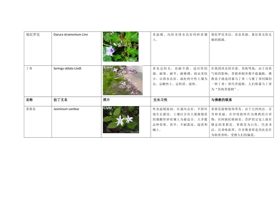 2025年与佛教有关植物一览_第3页