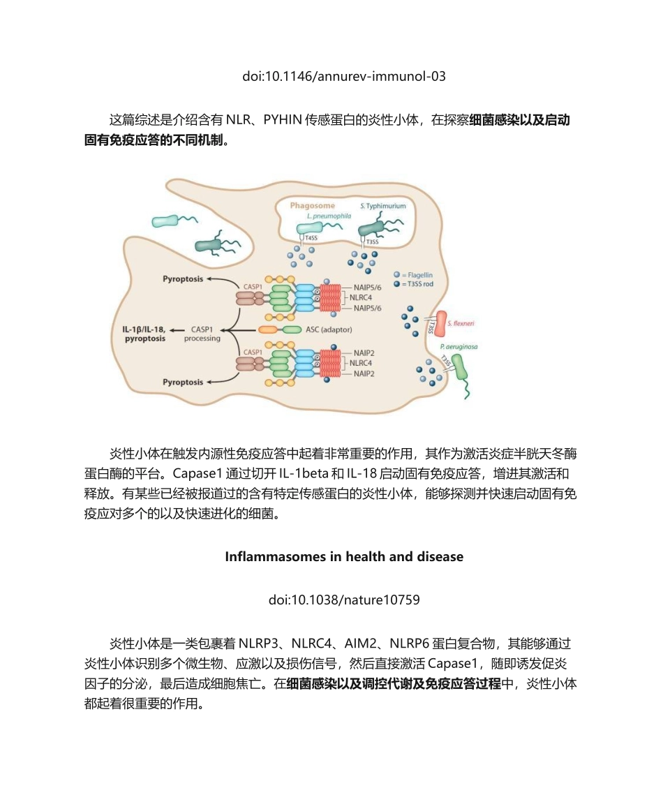 2025年细胞焦亡介绍_第3页