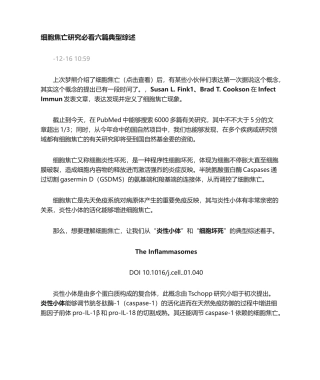 2025年细胞焦亡介绍