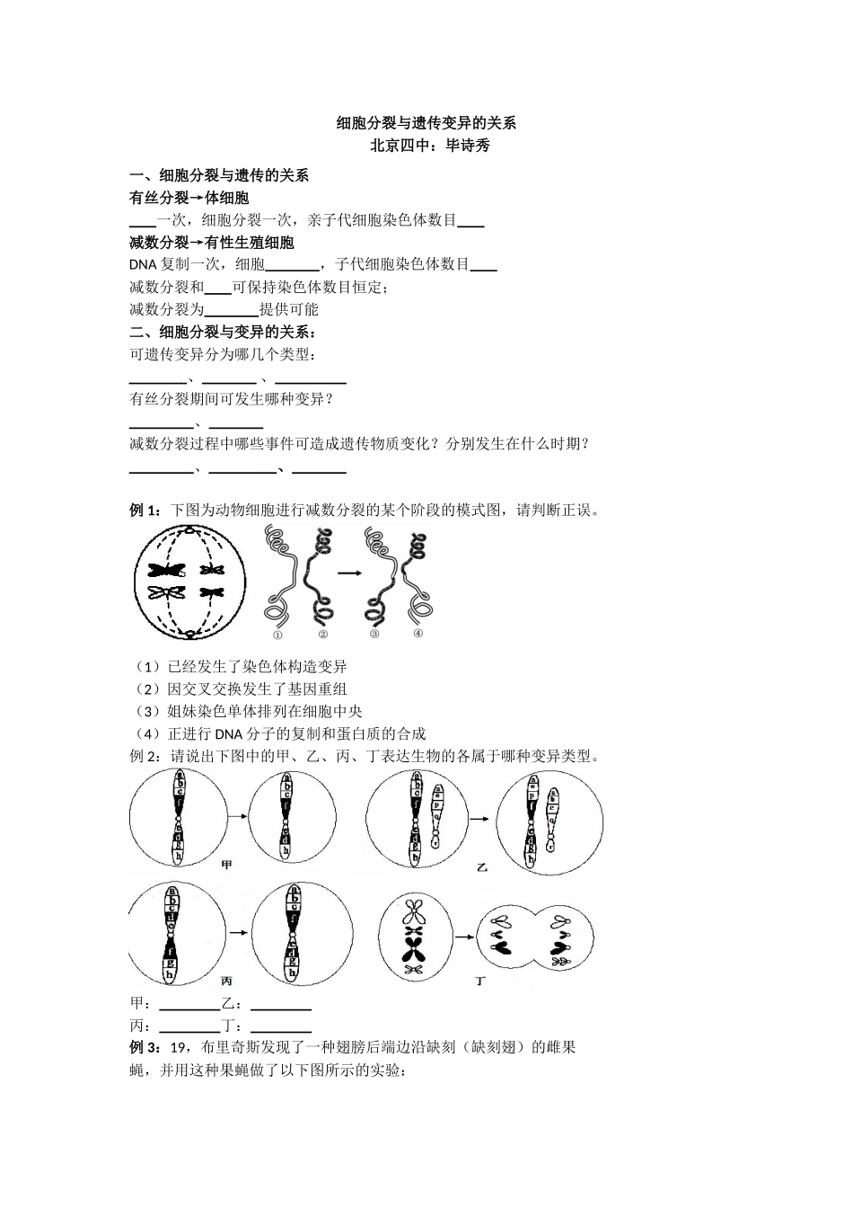 2025年细胞分裂和遗传变异的关系_第1页