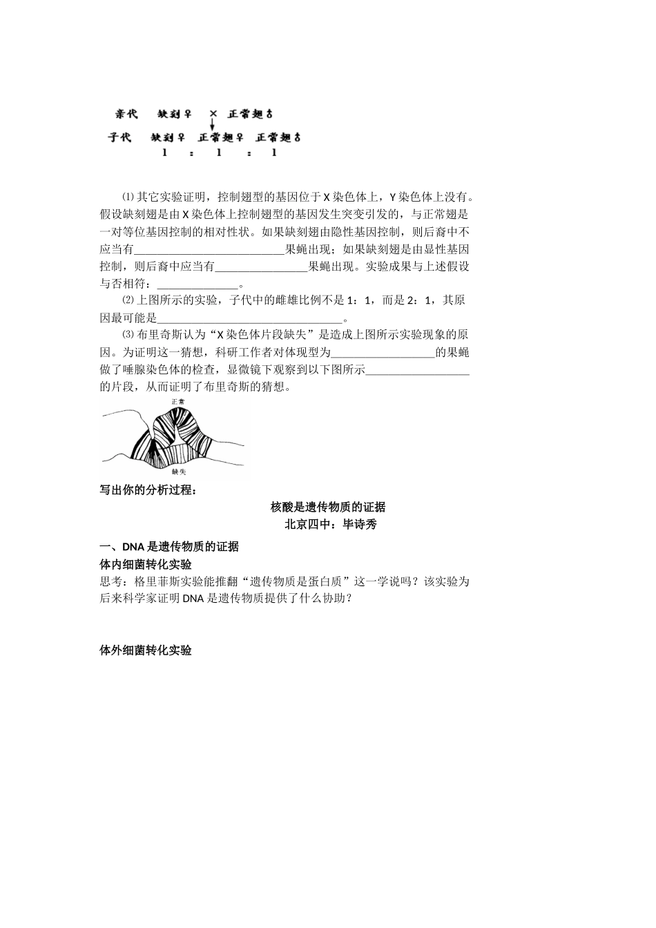 2025年细胞分裂和遗传变异的关系_第2页