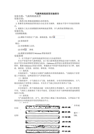 2025年气液两相流流型实验报告