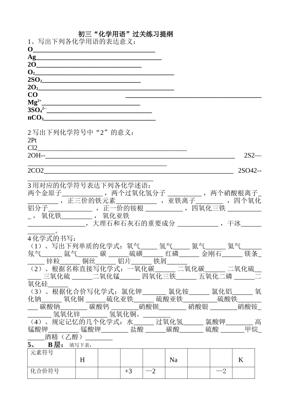 2025年中考化学用语复习题_第1页