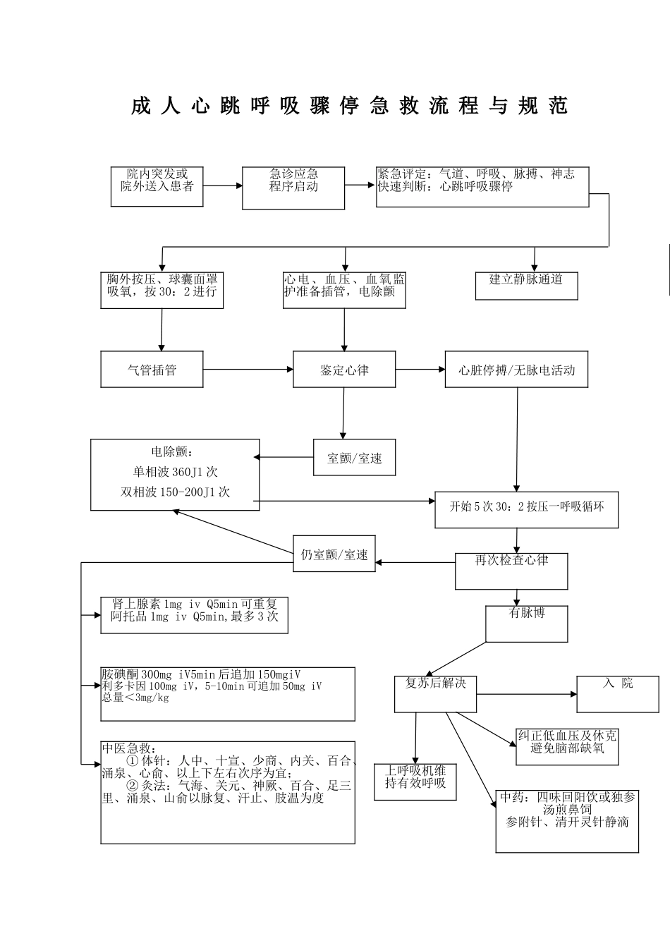 2025年成人心跳呼吸骤停急救流程规范_第1页