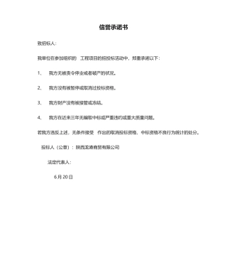 2025年信誉承诺书
