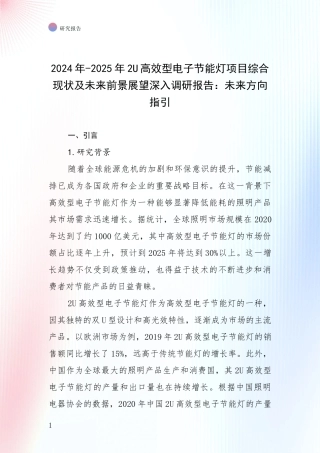 2024年-2025年2U高效型电子节能灯项目综合现状及未来前景展望深入调研报告：未来方向指引