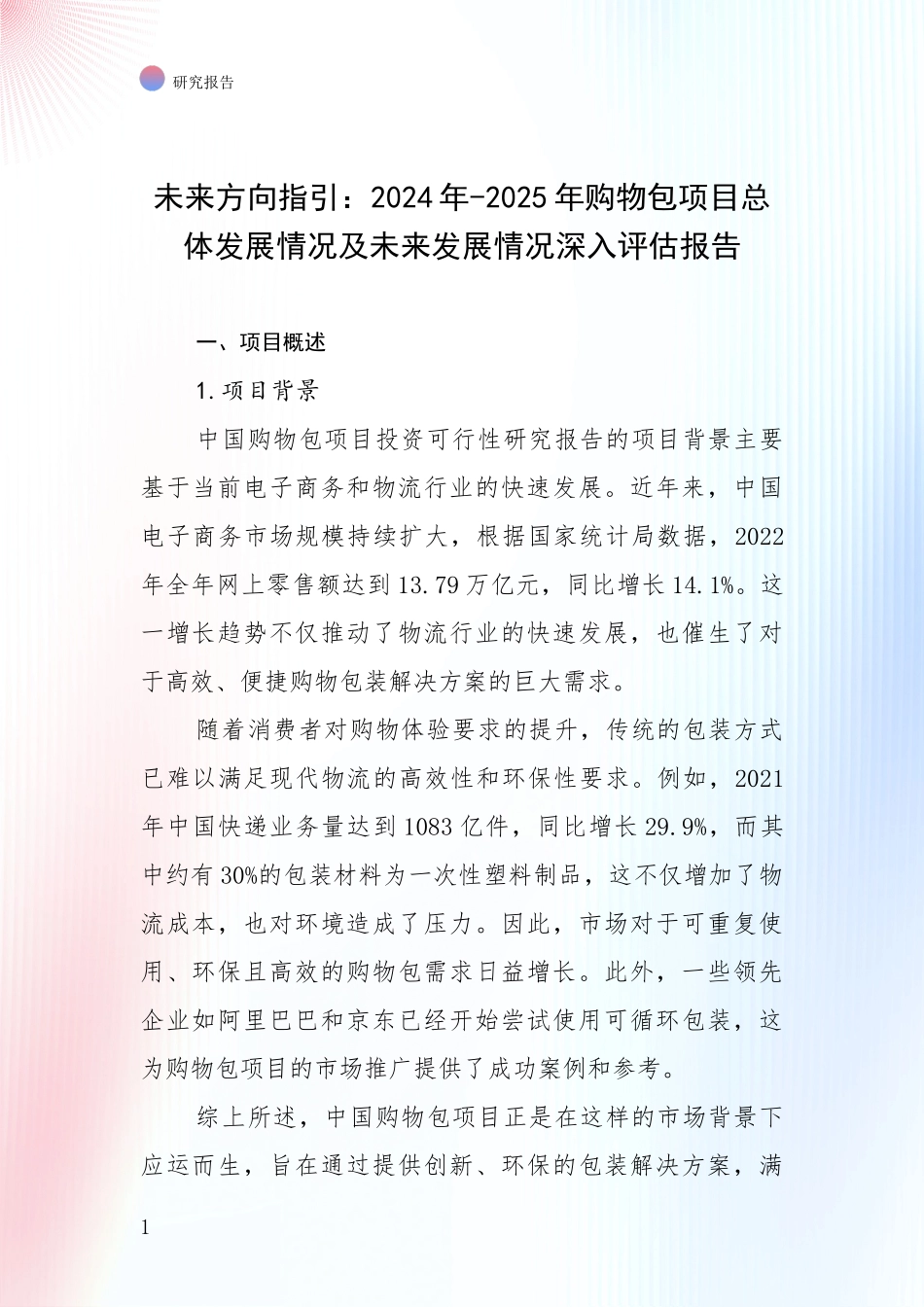 未来方向指引：2024年-2025年购物包项目总体发展情况及未来发展情况深入评估报告_第1页